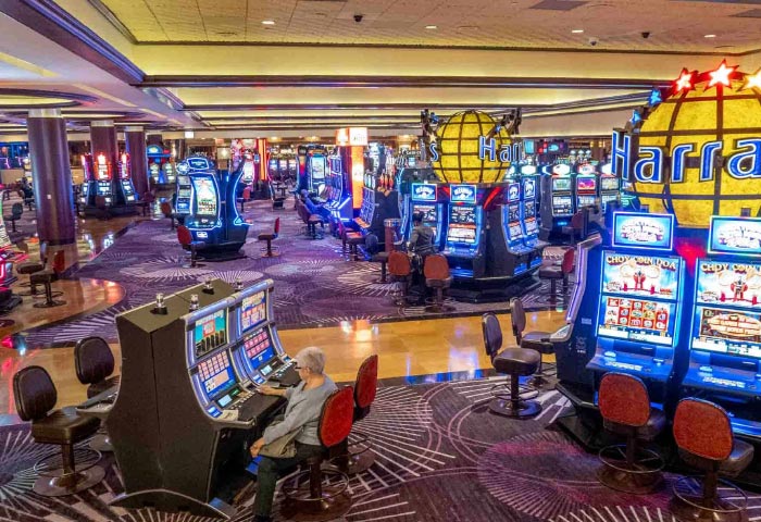 Máy đánh bạc nhỏ lẻ chiếm 164,7 triệu đô la doanh thu truyền thống, trong khi các trò chơi casino trên bàn chiếm 63,9 triệu đô la còn lại.