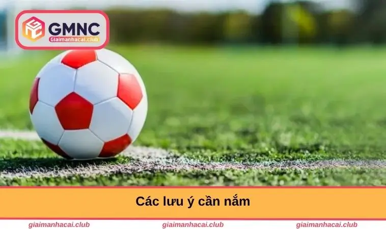 Các lưu ý cần nắm