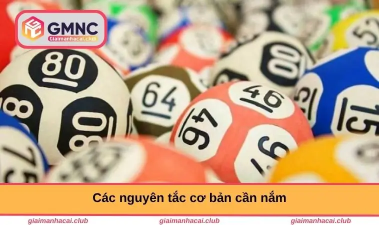 Các nguyên tắc cơ bản cần nắm