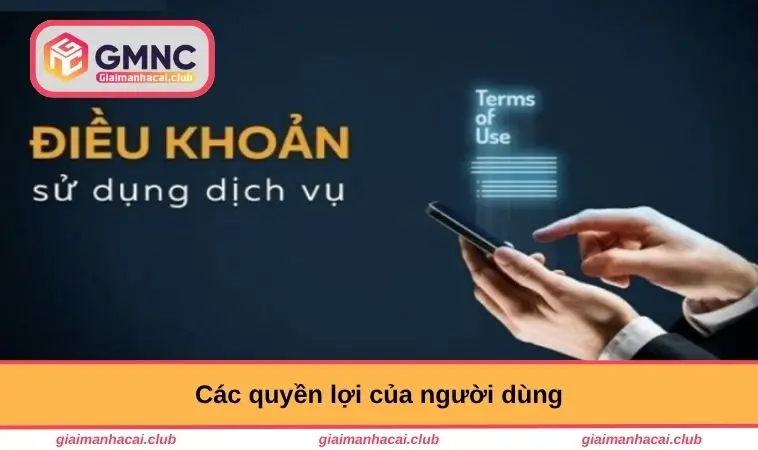 Các quyền lợi của người dùng