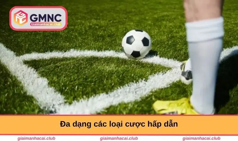 Đa dạng các loại cược hấp dẫn
