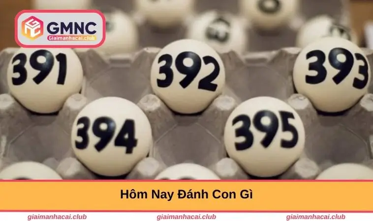 hom-nay-danh-con-gi