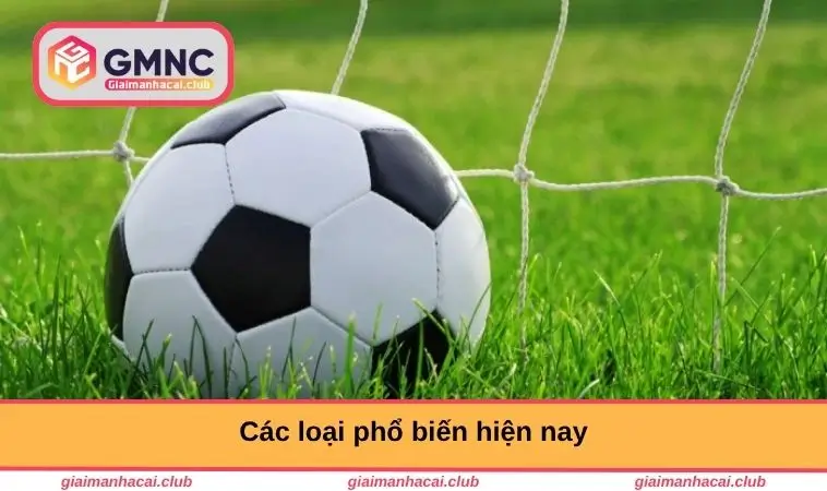 Những loại phổ biến hiện nay