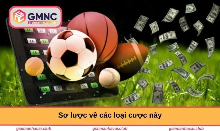 Sơ lược về các loại này
